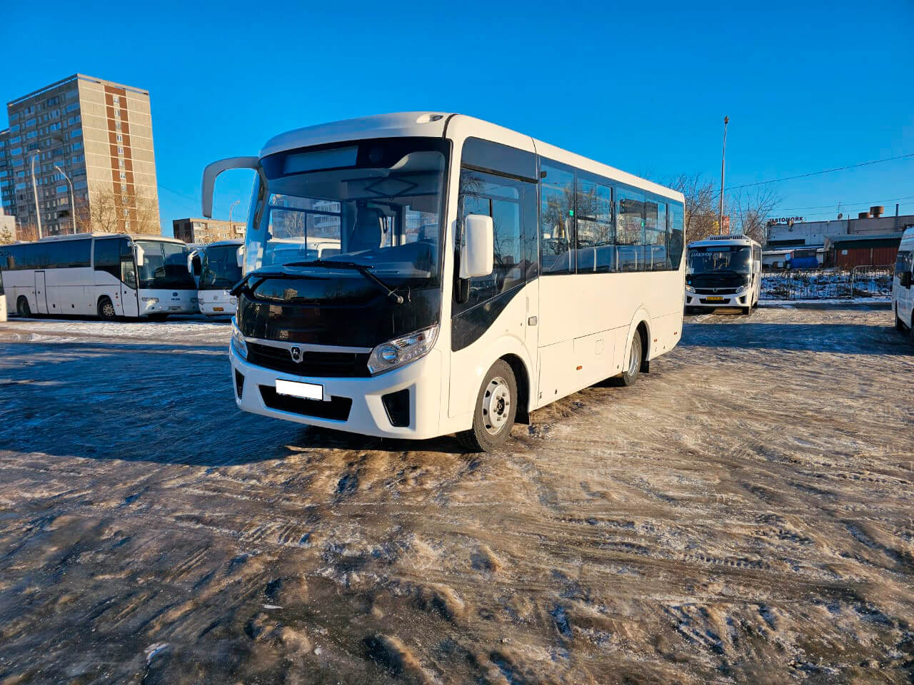 ПАЗ Вектор Next аренда